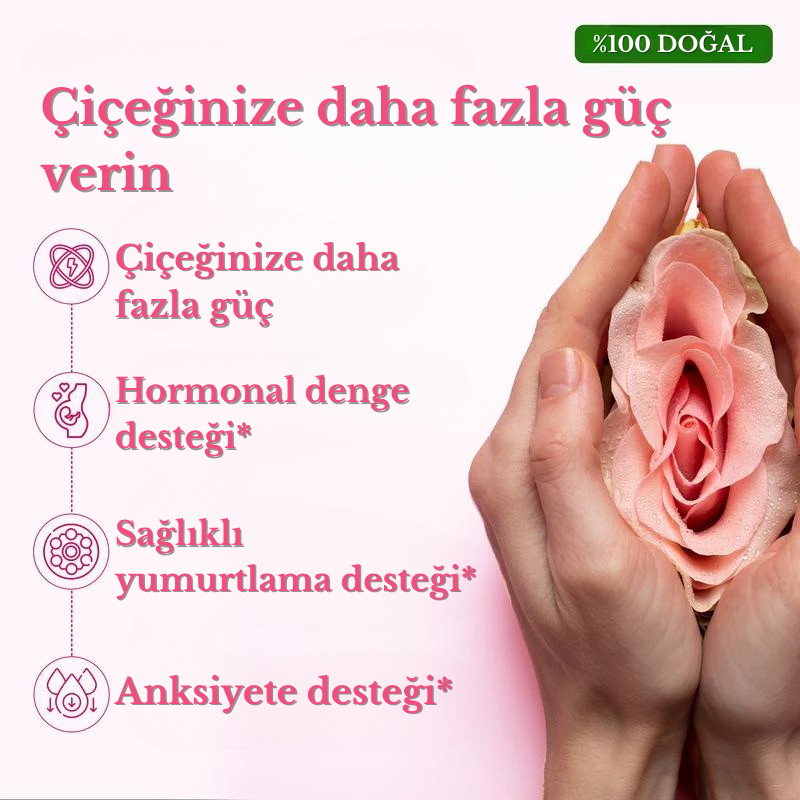 Himalaya Saf Shilajit Bal Çubukları Güçlendirici Takviye
